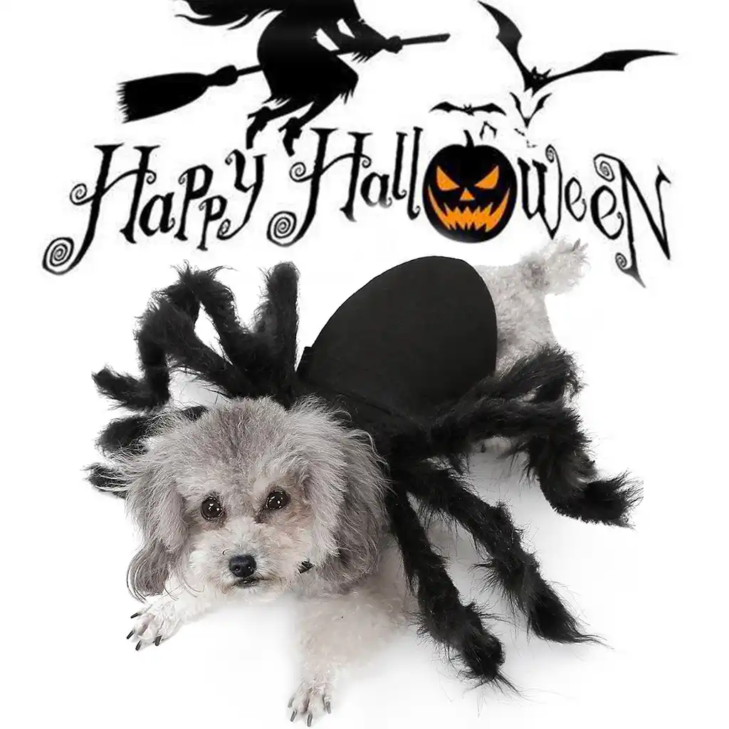 2019 New Halloween Pet Dog Costumes Funny Wings Spider Black Cute