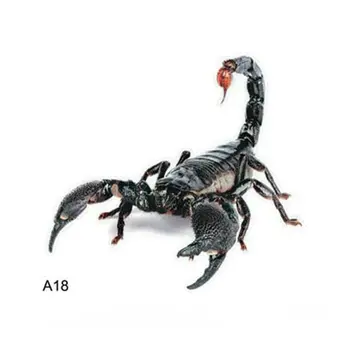 

Three-Dimensional Car Spider Gecko Animal Car Stickers Simulation Car Tail Stickers Realistic Modification Stickers