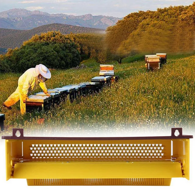 Bee Pollen Csapda Műanyag Elülső Szerszám Eltávolítható Szellőztetett Méhészítő Raktáron - Image 3