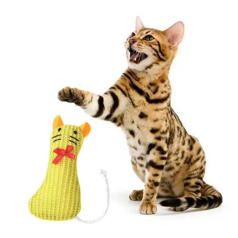 catnip chew toy