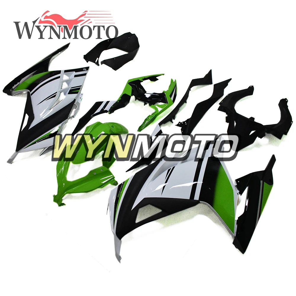 Kawasaki 300 Ninja арт