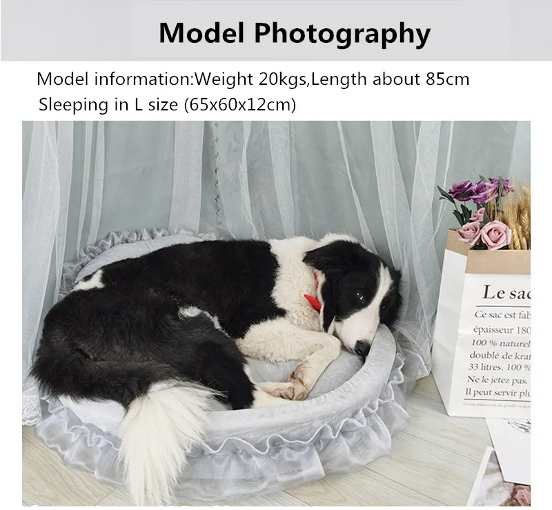 9c5f8574dc080e323fc2c7fec8a360d5_14656558923_1356453458