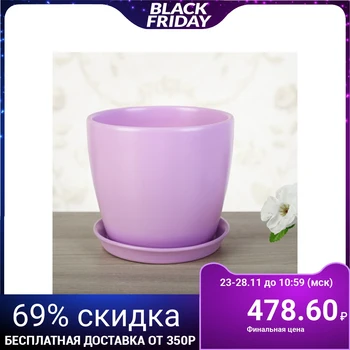 

Flowerpot Autumn, glossy purple, 2 L 2798737