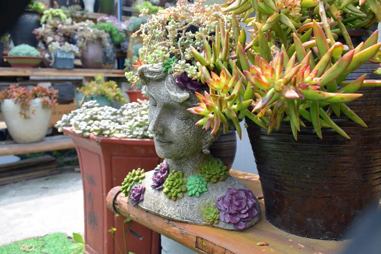 O1CN01vGxs541rwoVlmRHP9_!!3234415696 (1)