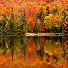 Раскрашиваем комплекты номеров для взрослых DIY