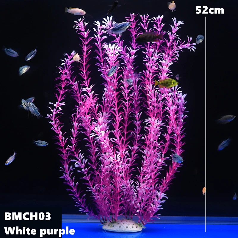 BMCH0267 (4)