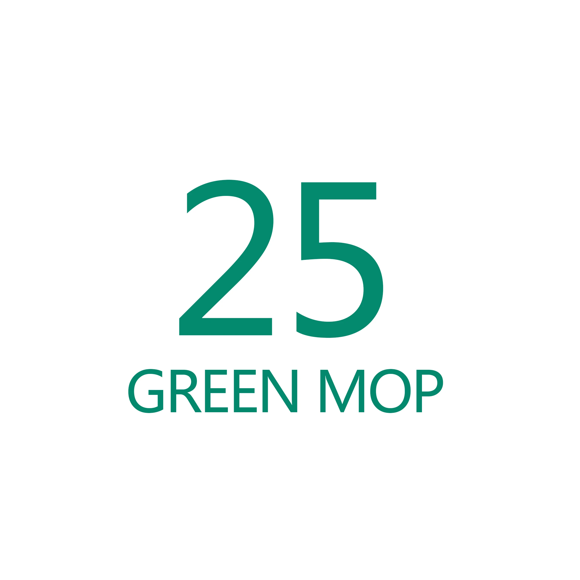 Дропшиппинг Волшебные мопы из микрофибры - Цвет: 25  GREEN