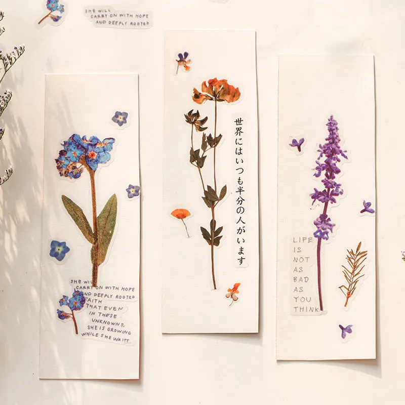One Sheet 12 Designs Natural Daisy Clover Japanese Words Stickers Transparent PET Material Flowers Leaves Plants Decor