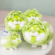 

25-50cm Cute Japanese Vegetable Dog Plush Toys Creative Chinese Cabbage Shiba Inu Pillow Stuffed Animal Sofa Cushion Baby Gifts