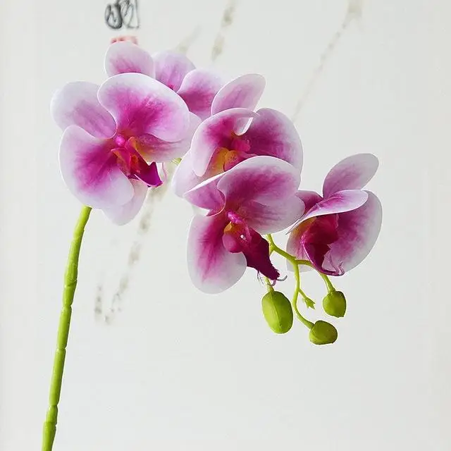 Настоящее касание 5 головок латексные орхидеи ветка Искусственные цветы Флорес бабочка Орхидея для рождества дома свадьба осенние украшения - Цвет: B
