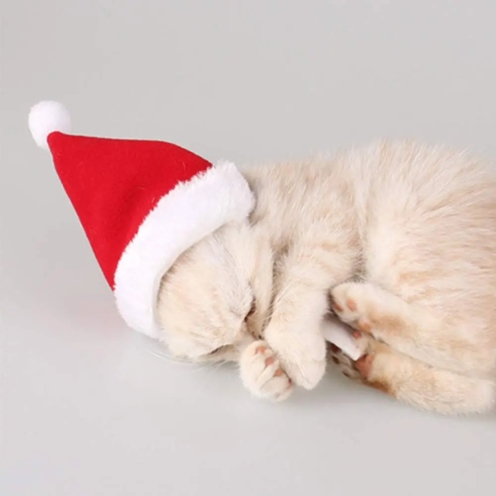 1 шт., Рождественская шляпа для животных, шапка Санта-Клауса для кошек, собак, щенков, рождественские украшения, новогодние вечерние шляпы, собачья маленькая шляпа, шапка для ухода за домашними животными