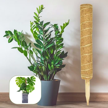 

2pcs Support Gardening Coconut Palm Stick Garden Plants Climbing Flower Vine Support Coir Coconut Cane Palm Sticks