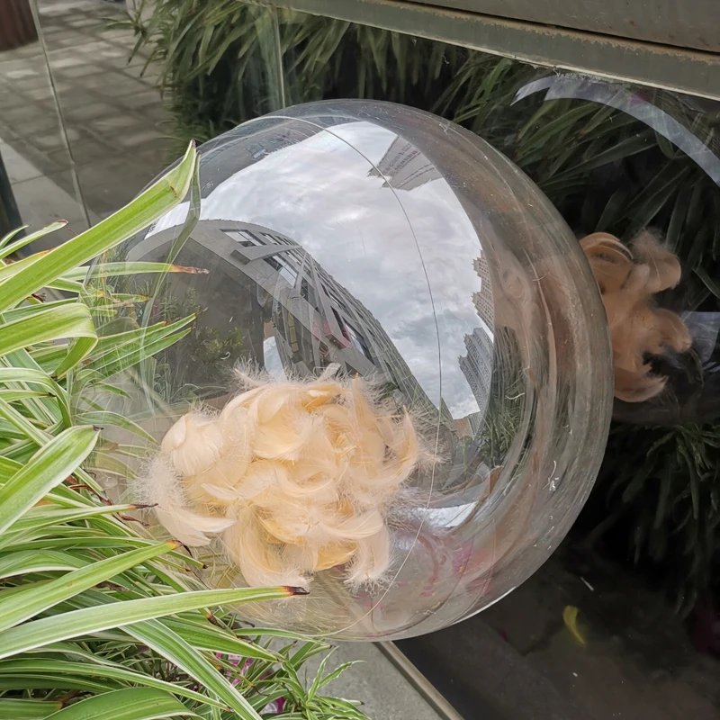 Transparent Bubble Balloons Wedding Birthday Feathers Sticker Feather Party Decor DIY Gifts Super Clear Helium Bobo Globos