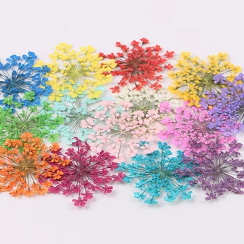 

12/30PCS Dry Plants DIY Decoration Natural Flower for Epoxy Resin Pendant Necklace Jewelry Making Craft Accessories Dropshipping