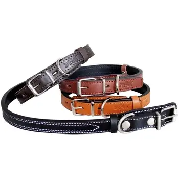 

Dog collar зооник leather double Premium Classic 20mm, 28-37 cm, Orange