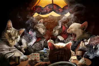 

oil drawing pictures by numbers with colors painting painting by numbers Cat playing cards art paints Wall decorative
