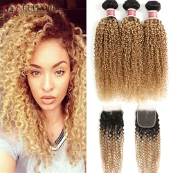 Ombre Blonde Brazilian Remy Human Hair Blonde Kinky Curly Bundles With 4x4 Lace Closure T1B/27 3 Bundles With Closure Euphoria
