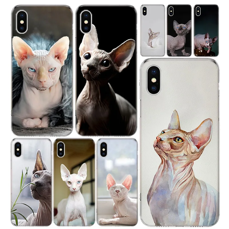 Sphynx Cat Phone Case Cover For IPhone 11 12 Mini Pro 7 6 X 8 6S Plus XS MAX + XR 5S SE 10 Ten Art TPU Coque Capa Shell | Мобильные