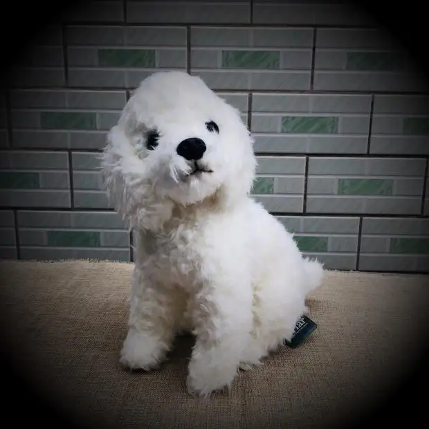 

2019 Cute Tactic Dog White Dog Plush Toys Simulation Giant Squid Stuffed Toys Cute Animal Plush Dolls for Kids Gifts