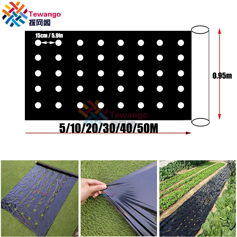 Tewango Perforated Mulch Weed Control Agriculture Film  Breeding Mulch Veg Patch For Tomato Strawberry Growth Punch 4.5cm Hole