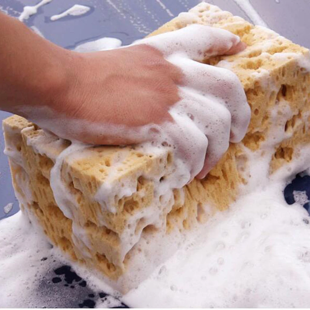 Coral Cleaning Sponge Washing Pad for Car/Bathroom/Window/Floor/ Furniture 21*11*9cm
