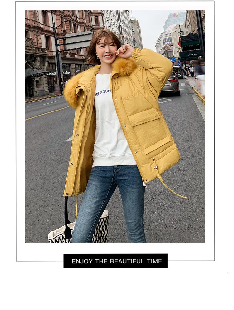 Photo Shoot Winter New Style down Jacket Cotton-padded Clothes Women's Korean-style Mid-length Cotton-padded Clothes Hooded