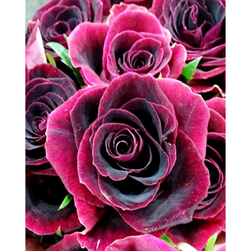 

Full Drill Diamond Painting Flowers Scenery Diamond Embroidery Picture Cross Stitch Mosaic diamond Art Christmas home decor