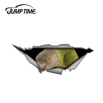 

Jump Time 13cm x 4.8cm Senegal parrot decal 3D Pet Graphic Vinyl Decal Car Window Laptop Bumper Bird Car Stickers
