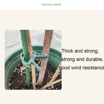 

50pcs Greenhouse Fixative Rod Support Clamp Fixed Plants Flower Seedling Stem Grafting Clip Connector