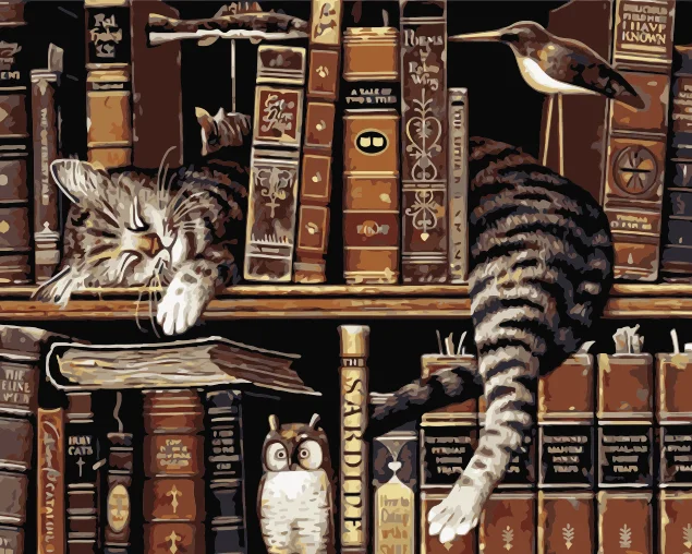 Книжная полка Спящая кошка животное DIY Рисование Живопись по номерам Lage размер