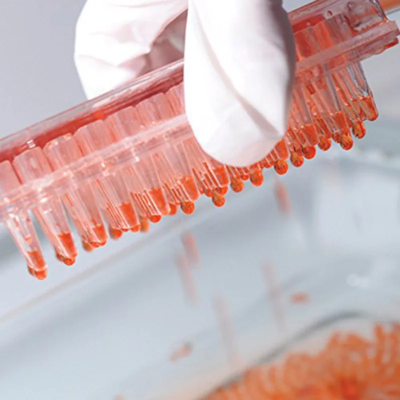 Molecular Gourmet Tools