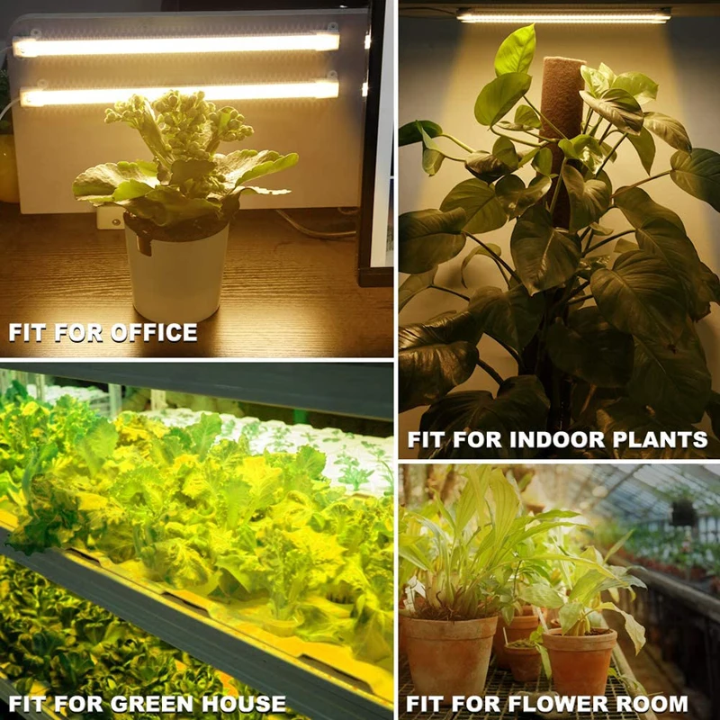 Luzes LED crescimento plantas