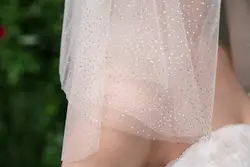 Новинка 2019 года; простое короткое Сетчатое свадебное платье для невесты; аксессуары для путешествий; свадебная вуаль
