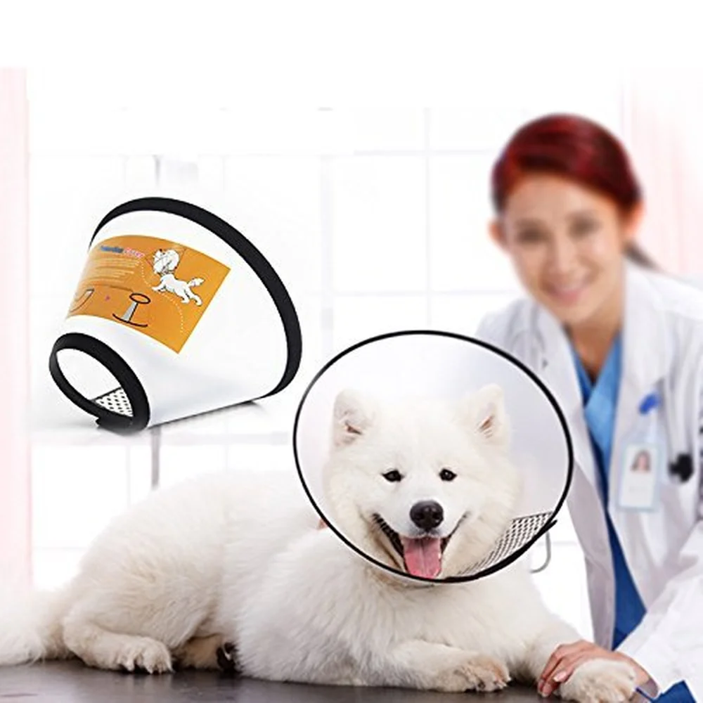 

Accentory Adjustable Dog Recovery Collar Plastic Elizabethan Collar for Cats and Dogs Elizabeth Collar