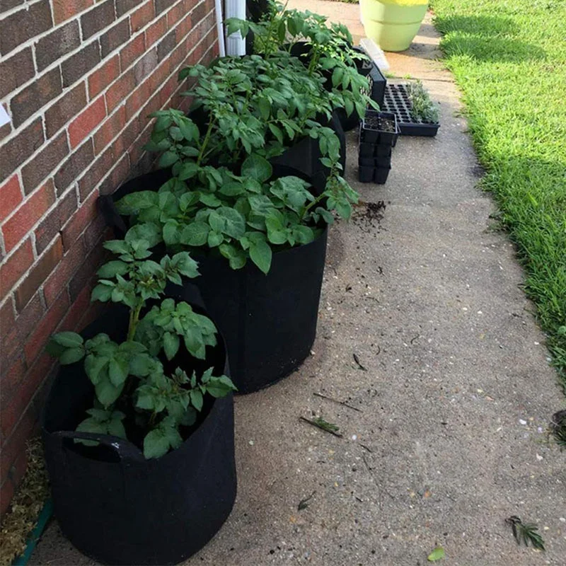 

Grow Bags 5 Gallon/7 Gallon/10 Gallon, 6 Pack Durable Fabric Planting Pots with Strap Handles, Perfect for Vegetables and Fruits