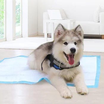 

Dog And Puppy Training Mats Pet Diapers Dog Diapers Deodorant Absorbent Diapers Disposable Diapers Cats And Dogs Supplies