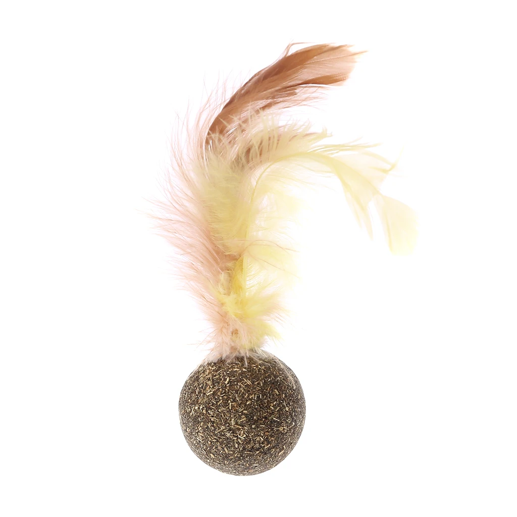 

Nature Kitten Cat Feature Toy Teeth Cleaning Cat Catnip Ball Pet Accessories