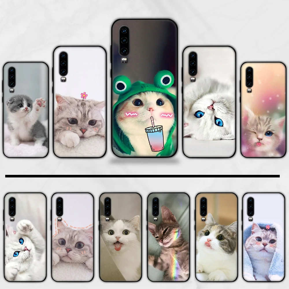 squishy cat Animal Lovely Glitter Bearded Phone Case Capa Funda For Huawei P9 P10 P20 P30 Lite 2016 2017 2019 plus pro P smart |