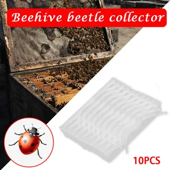 

10pc Beekeeping Bee Apicultura Pesticides Baiting Beetle Catch Trap No Poisons Beekeeping Tools Beehive Honey Bee Keeping Imker