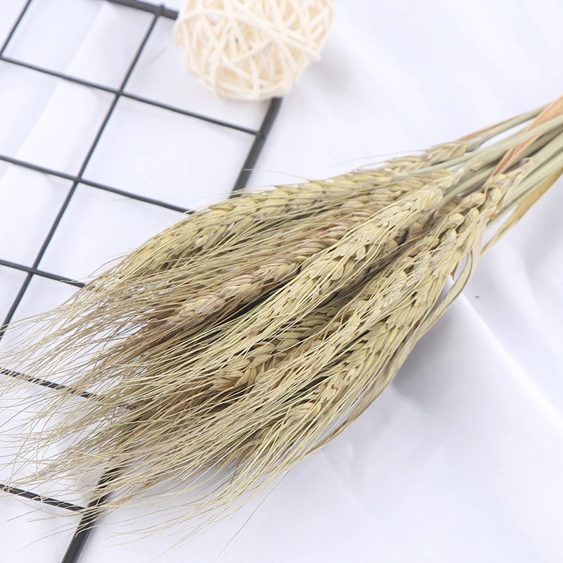 Natural 25 шт./лот, натуральный высушенный цветок, пшеничные уши, букет для украшения свадебной вечеринки, скрапбук, пшеничная ветка, реквизит, сделай сам, ремесло, домашний декор - Цвет: Natural
