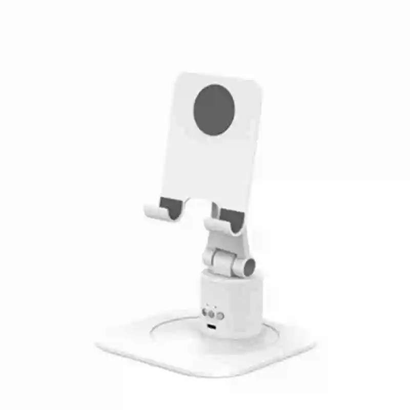 strigidae camera