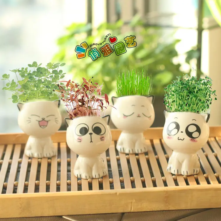 

Mini Cat Shaped Ceramic Flowerpot Cartoon Cute Hand Diy Desktop Potted Plant Desk Decorate Small Ornaments