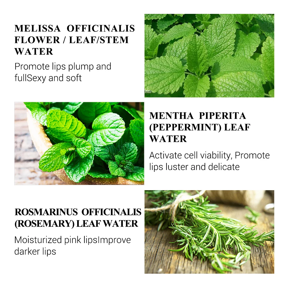 LANBENA Lip Plumper Serum Mask Reduce Fine Lines Increase Lip Elasticity Resist Aging Repair Moisturizer Lip 4