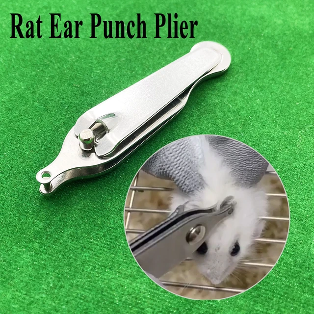1 قطعة المهنية القوارض الحيوانات الأليفة ماوس الفئران ثقب لكمة مختبر تجربة  الأذن علامة ذو طيات 2 مللي متر الفولاذ المقاوم للصدأ الهامستر بمناسبة لوازم  - AliExpress