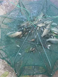 Portable 6 Holes Folded Hexagon Fishing Net Automatic Nylon with Zipper Trap Shrimp Carp Catcher Cages Mesh Nets CrabTrap