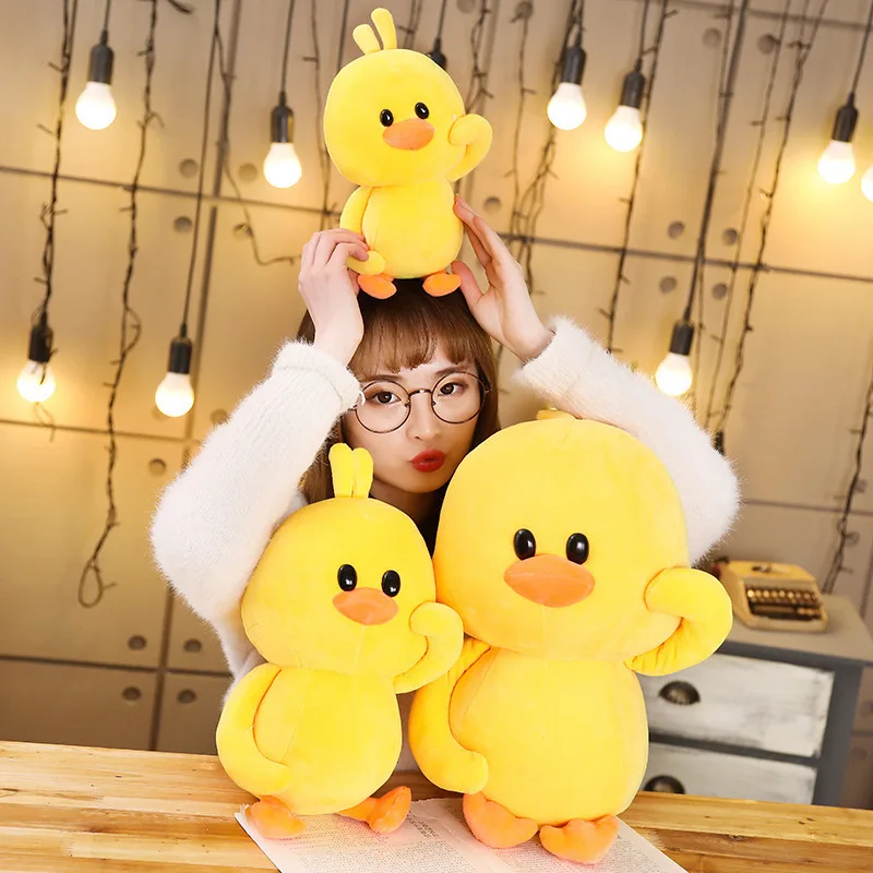 10732994720_2104398099