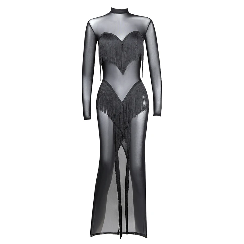 Latin Dance Clothing Professional Latin Competition Costumes For Women Long Sleeve Black Fringe Mesh Perspective Dresses DQL2692 - Цвет: Black