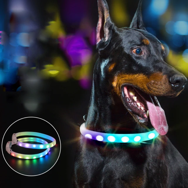 Collier lumineux LED Shoous USB pour animaux de compagnie