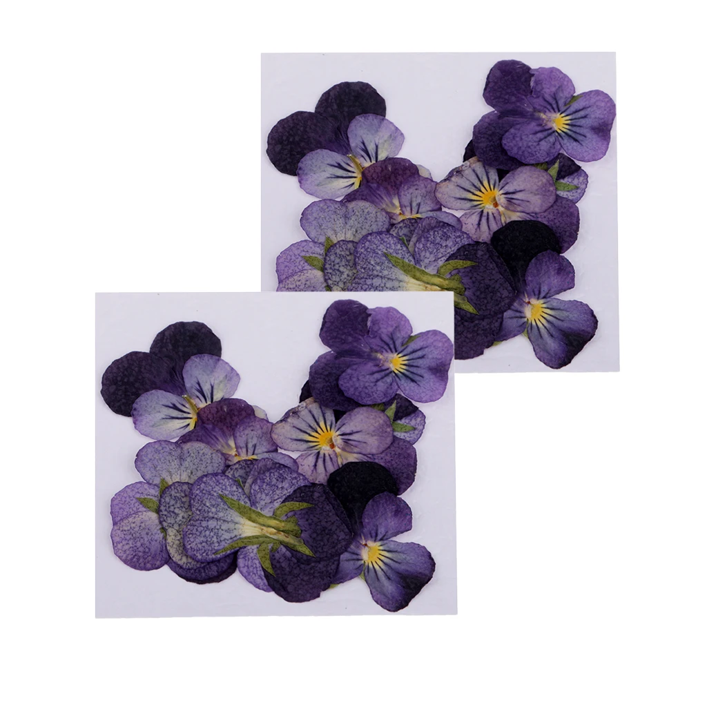 24pcs Pressed Flower Dried Leaf Natural Craft Decor Greeting Cards / Jewelry Diy Home for Candle Scrapbook Charms Making | Дом и сад