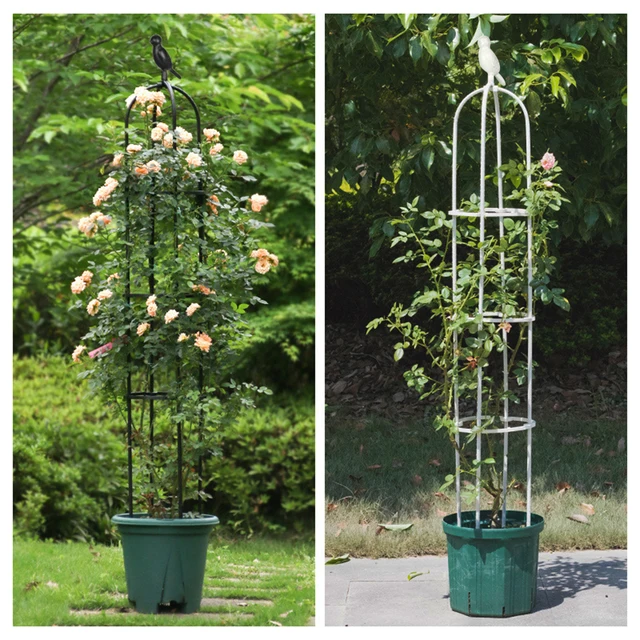 Kerti Rácsos Állványok Polc Növényi Tartó Keret Acél Tartós Clematis Rózsa Növények Szőlő 150 Cm -Es Paradicsom Hegymászó Rack - Image 3